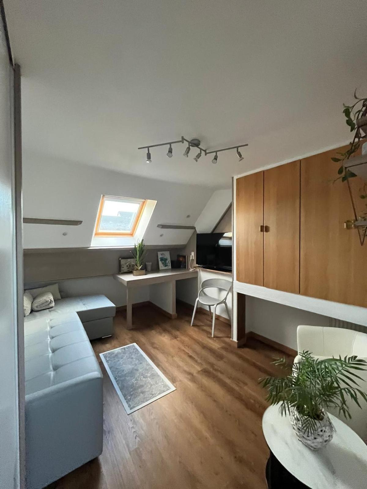 Appartement Type Loft Avec Terrasse Cherbourg-en-Cotentin Esterno foto